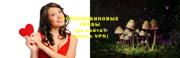 дживик Армянск