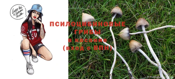 дживик Армянск